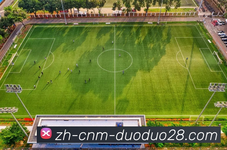 多多28发展历程