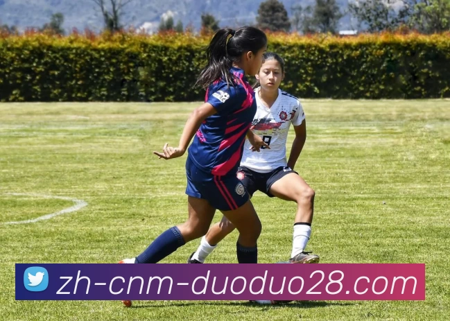 篮球场上各位置的角色与战术解析助你提升球技与团队配合能力